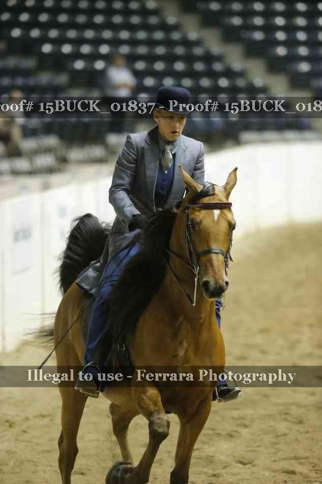Proof 15BUCK_01837