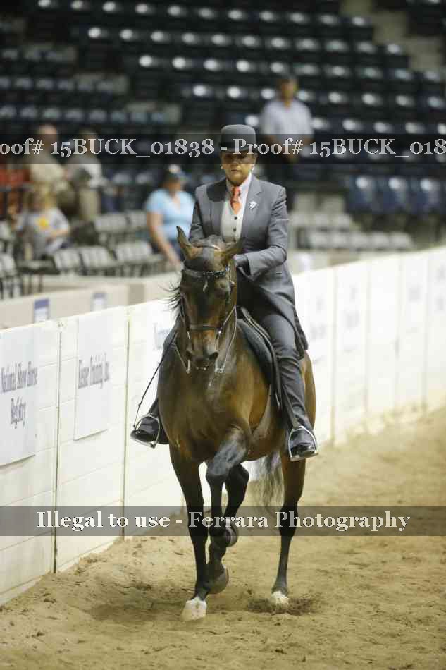 Proof 15BUCK_01838