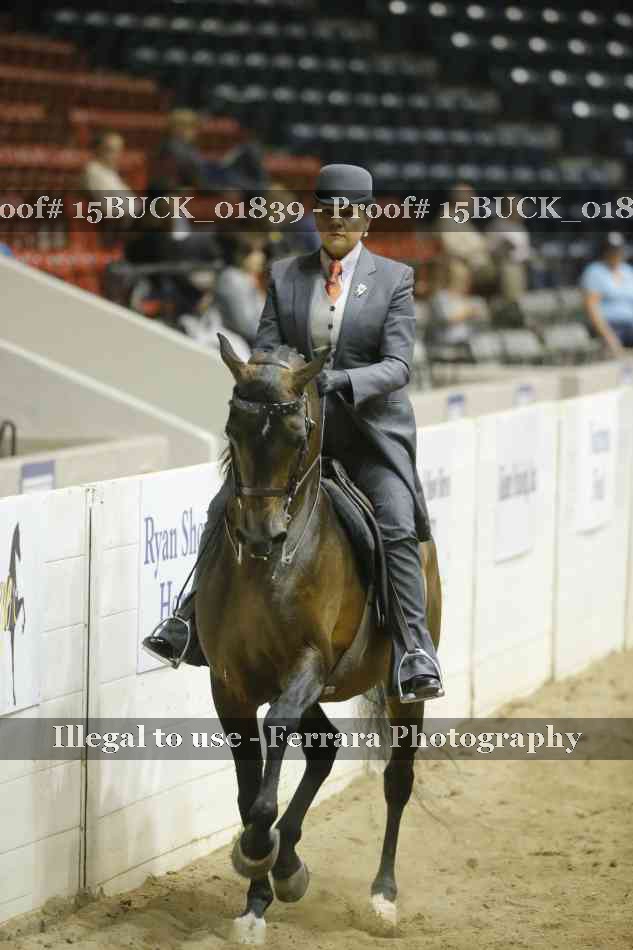 Proof 15BUCK_01839