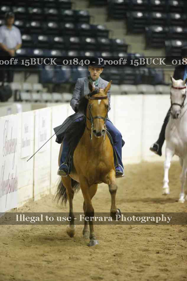 Proof 15BUCK_01840