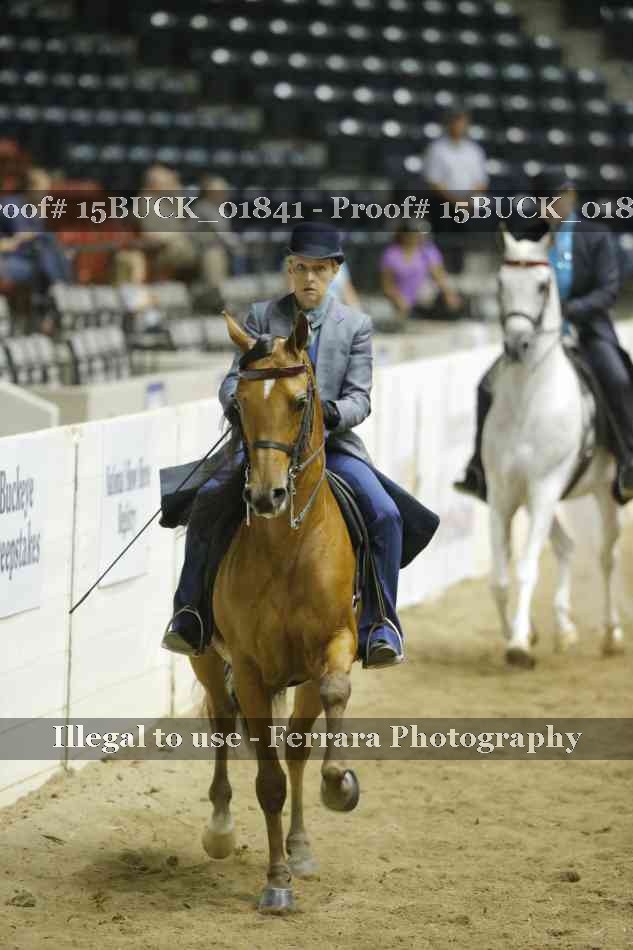 Proof 15BUCK_01841