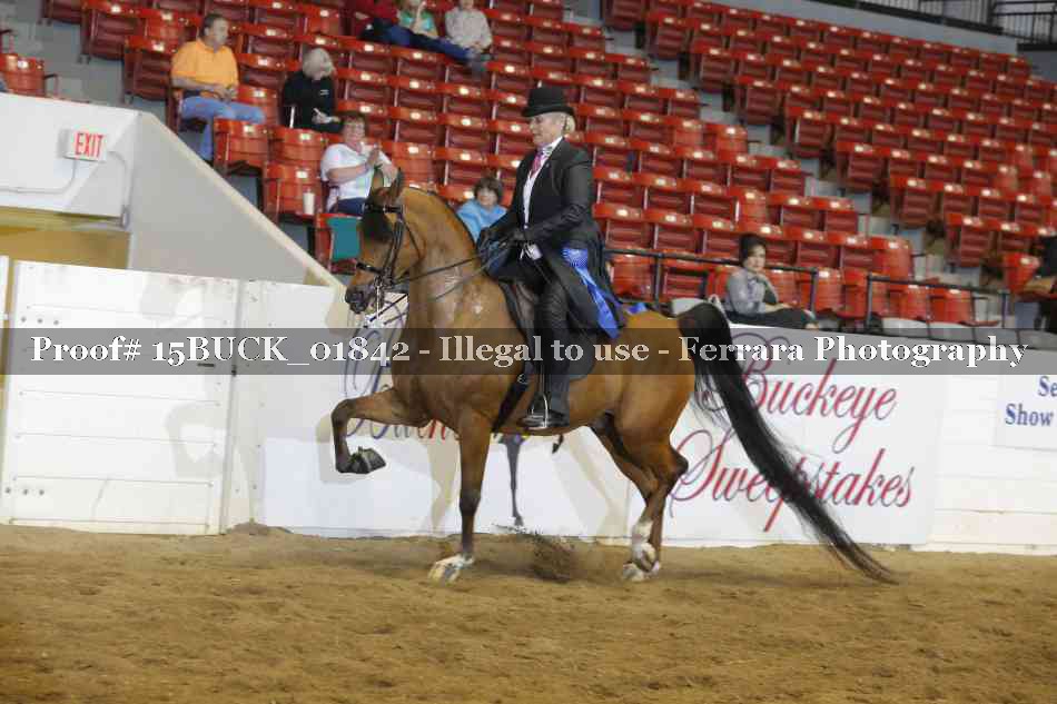 Proof 15BUCK_01842
