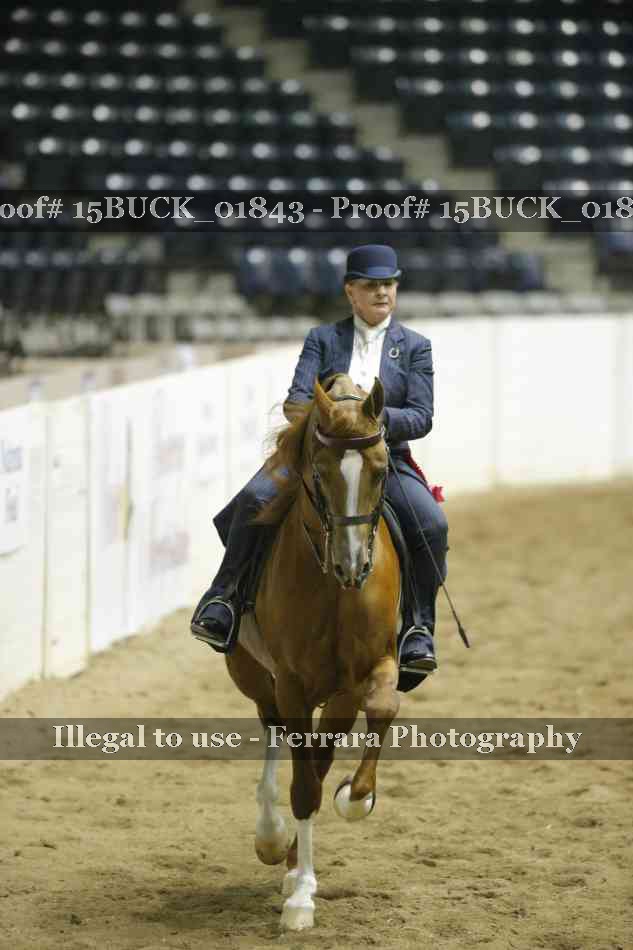 Proof 15BUCK_01843