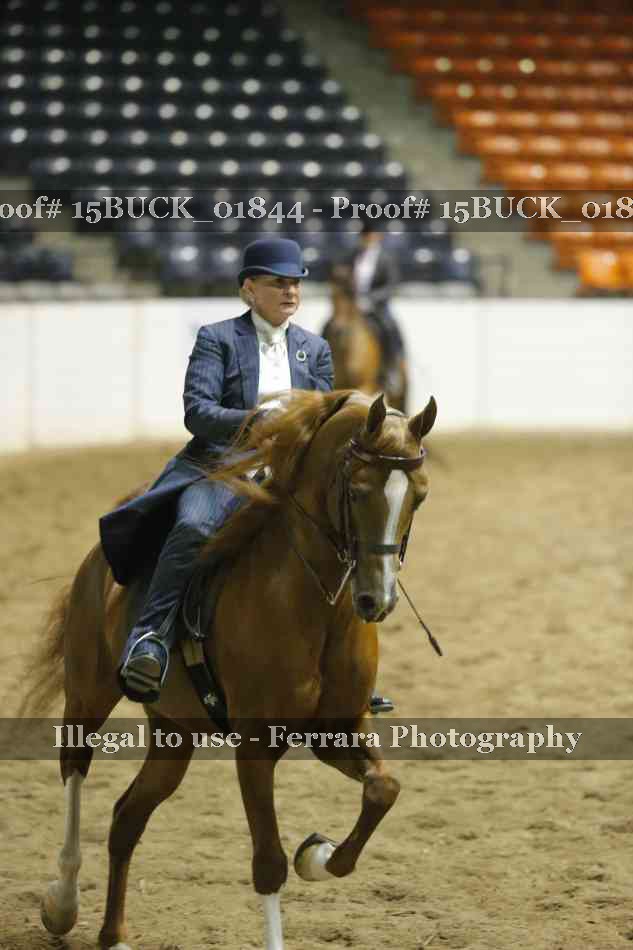 Proof 15BUCK_01844