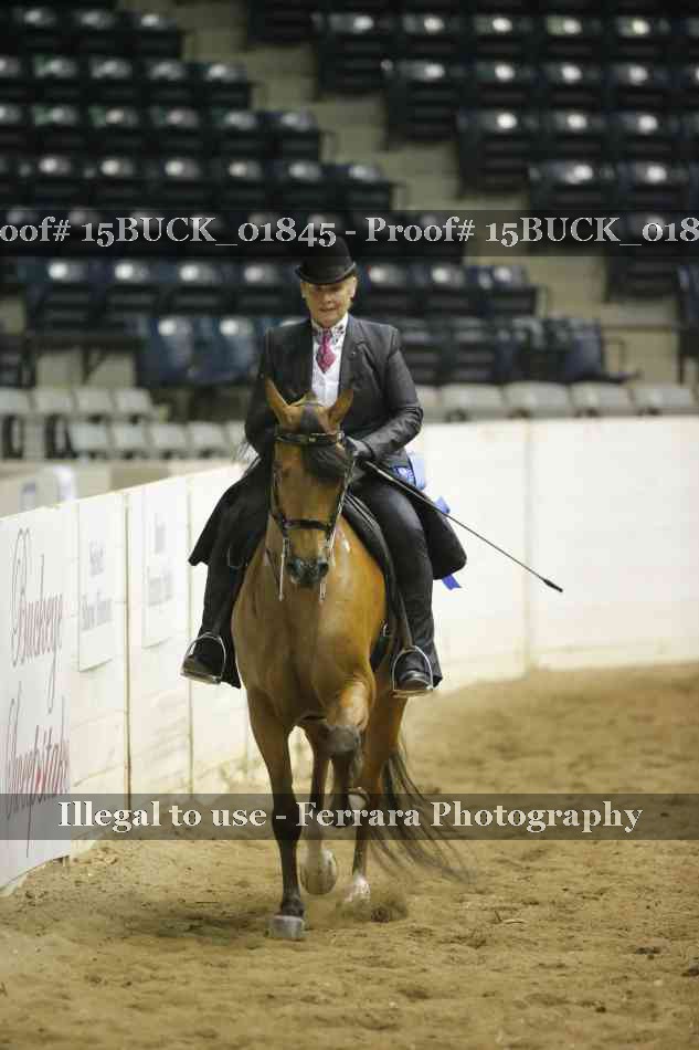 Proof 15BUCK_01845