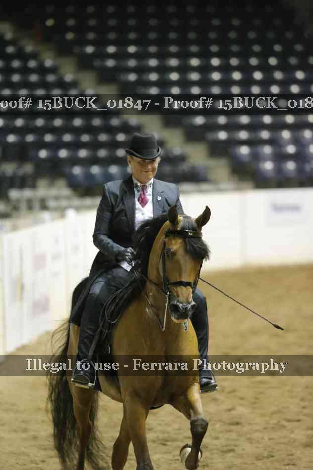 Proof 15BUCK_01847