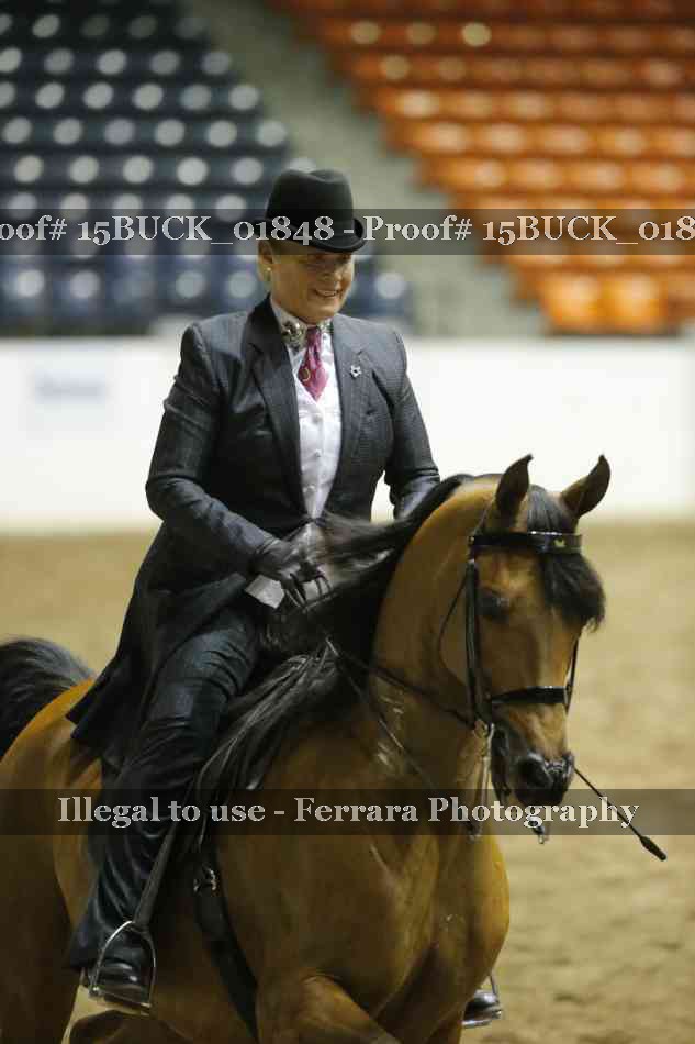 Proof 15BUCK_01848