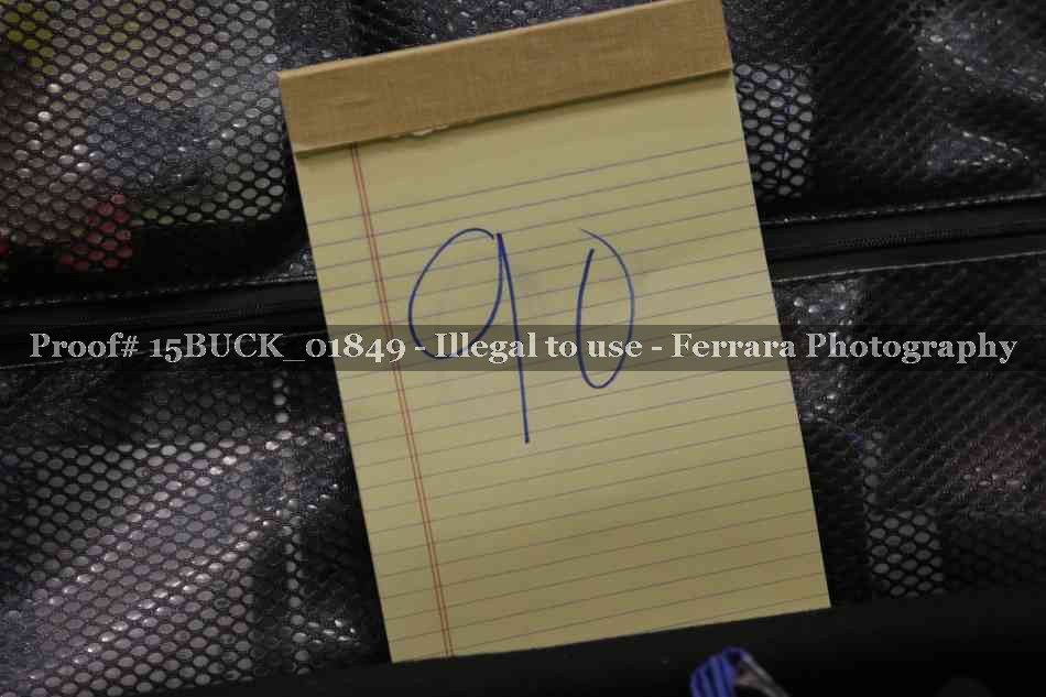 Proof 15BUCK_01849