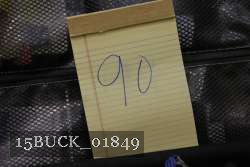 15BUCK_01849 proof