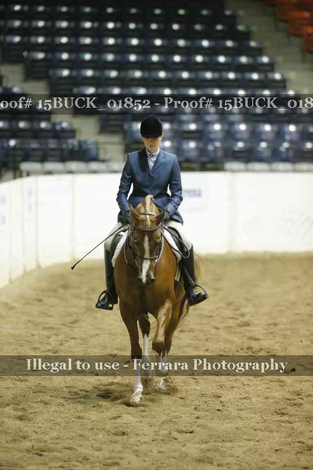Proof 15BUCK_01852