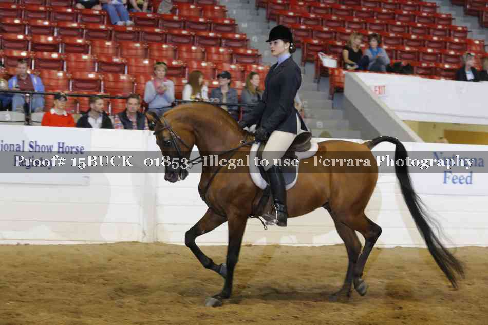 Proof 15BUCK_01853