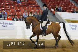 15BUCK_01853 proof