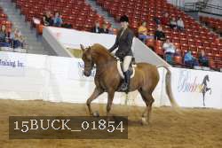15BUCK_01854 proof