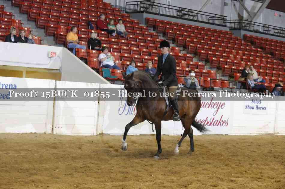 Proof 15BUCK_01855