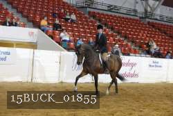 15BUCK_01855 proof