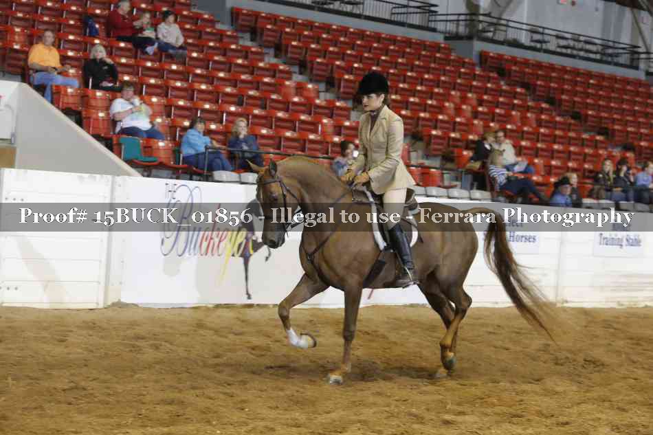 Proof 15BUCK_01856
