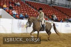 15BUCK_01856 proof
