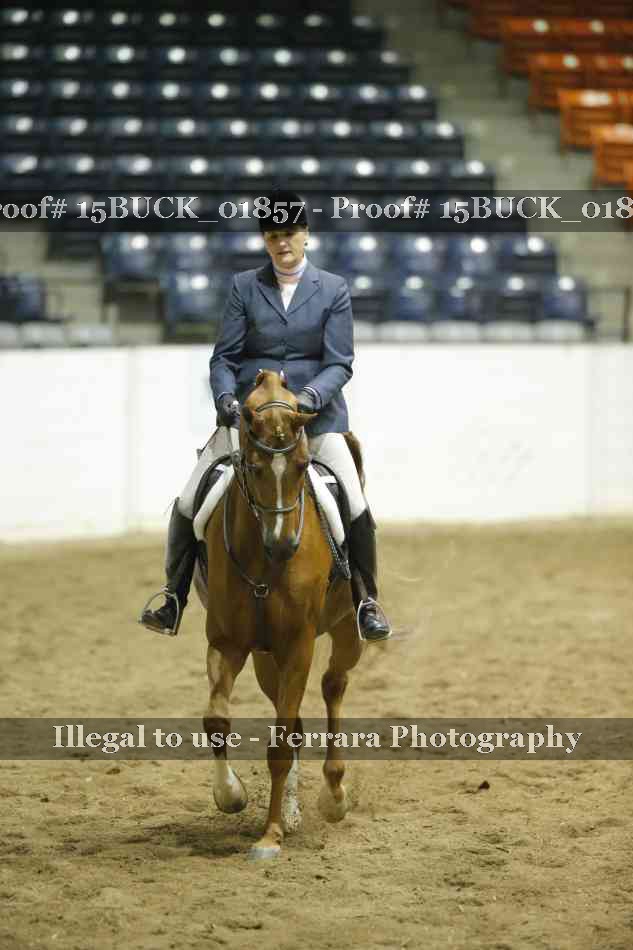 Proof 15BUCK_01857