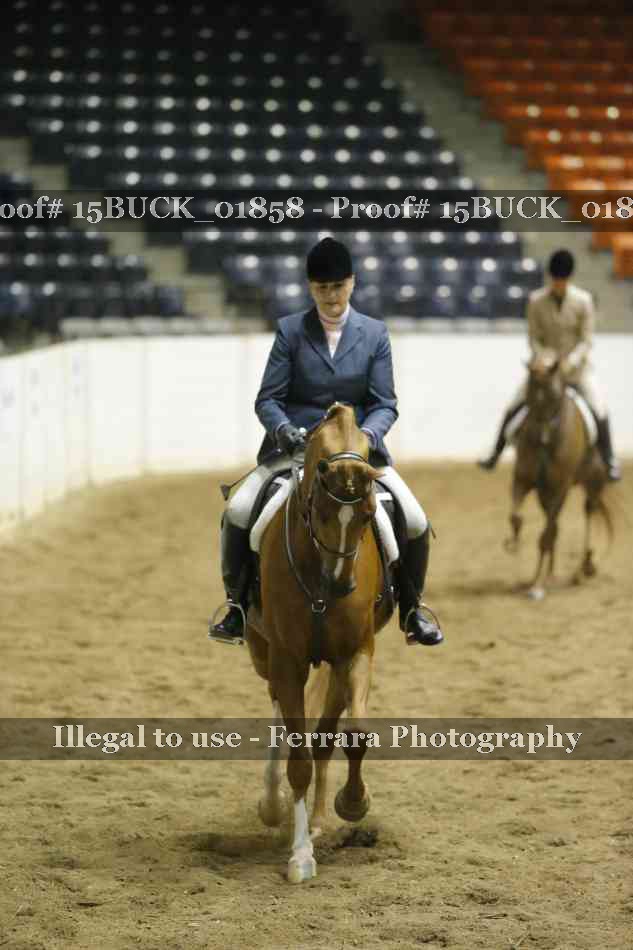 Proof 15BUCK_01858