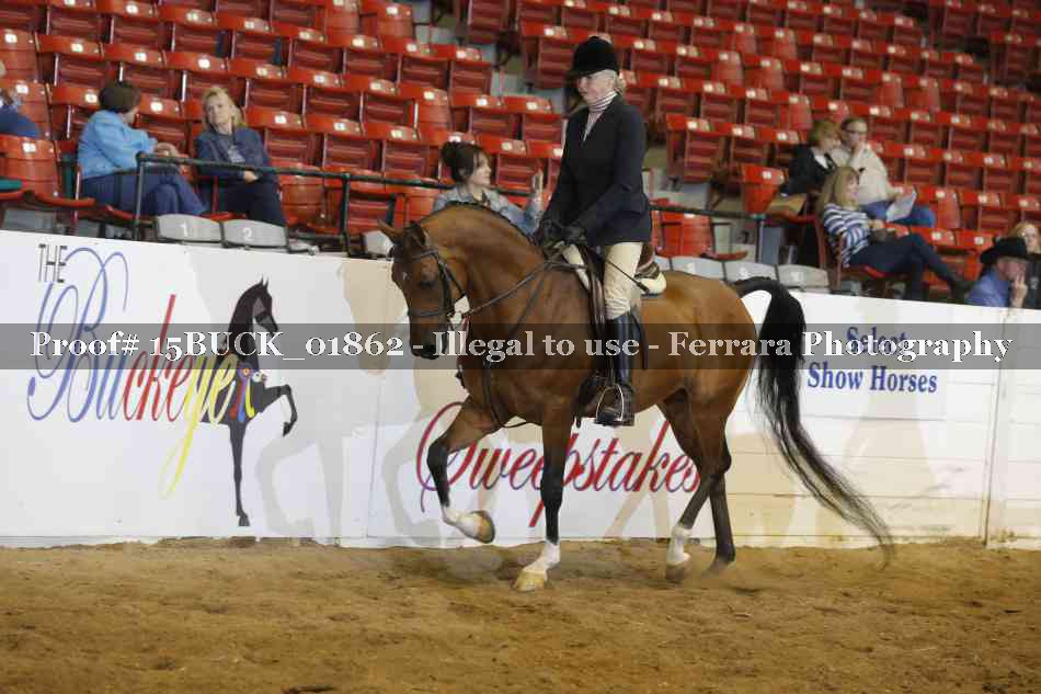 Proof 15BUCK_01862