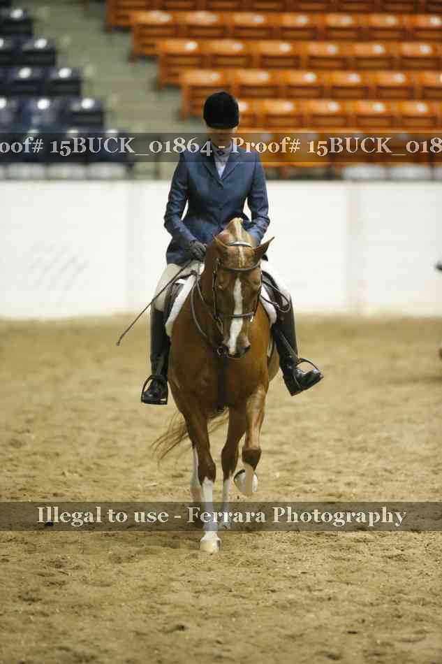 Proof 15BUCK_01864