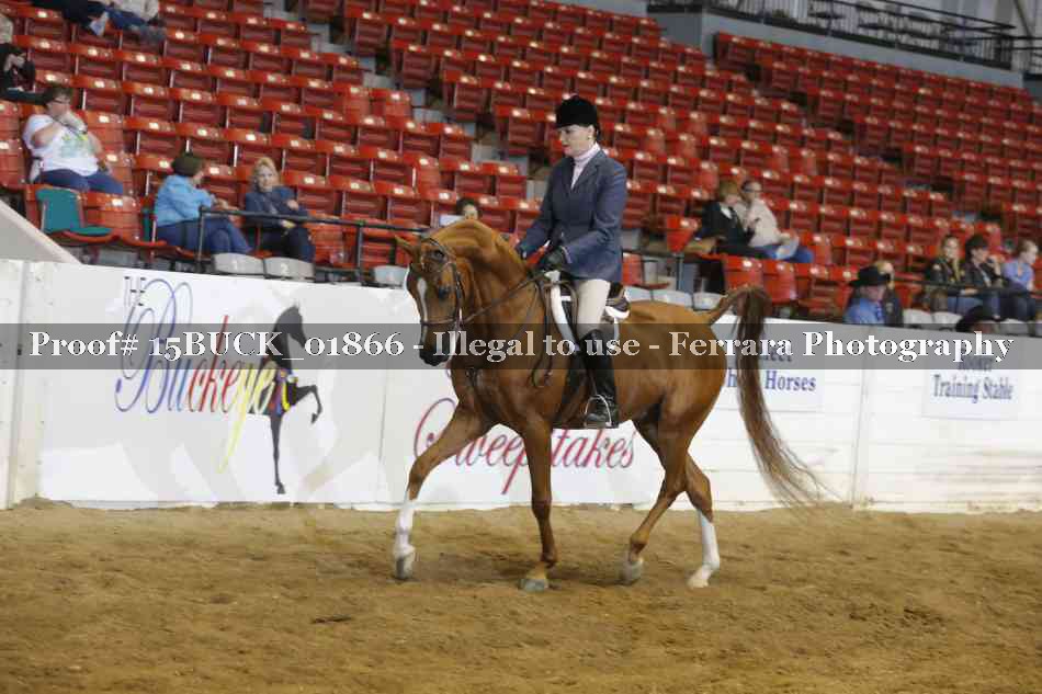 Proof 15BUCK_01866
