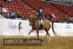 15BUCK_01866 proof