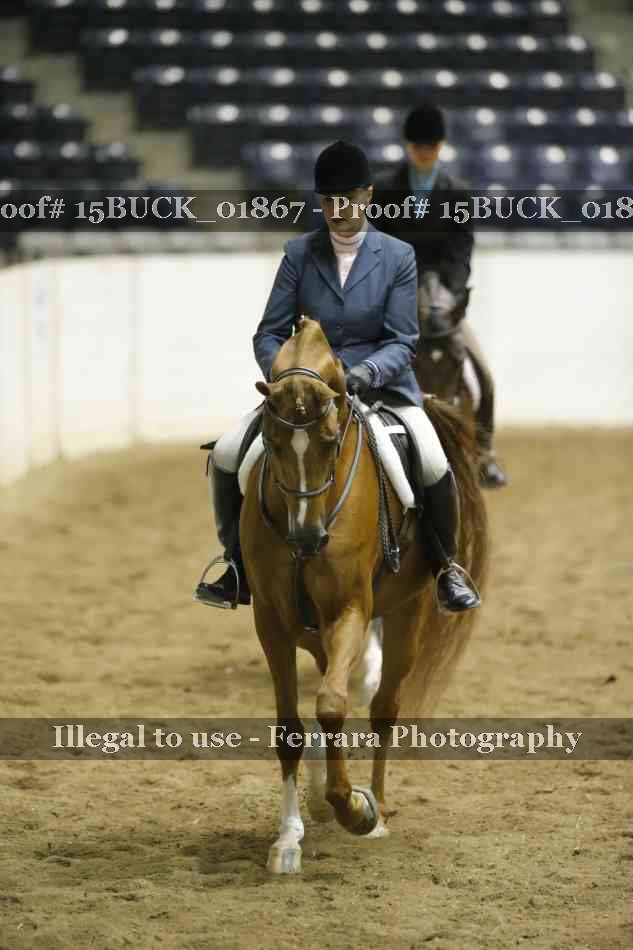 Proof 15BUCK_01867