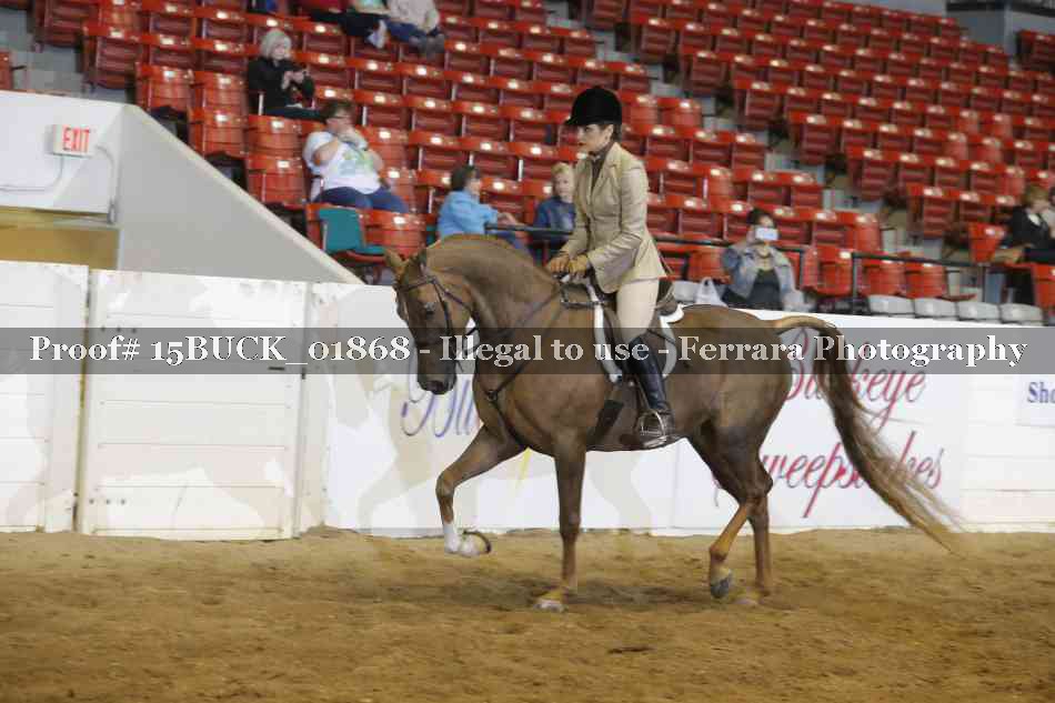 Proof 15BUCK_01868