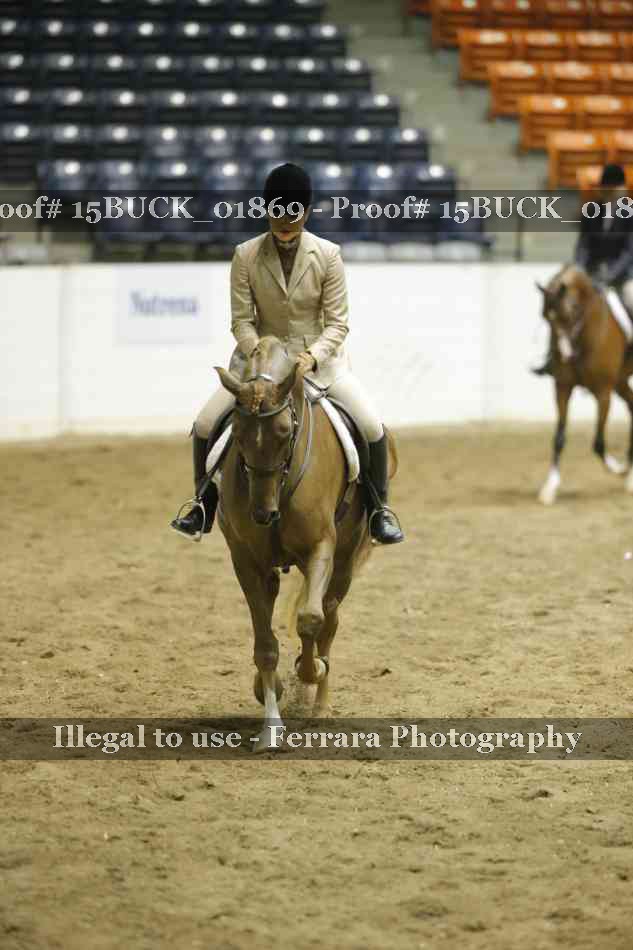 Proof 15BUCK_01869