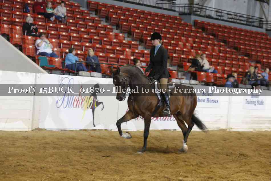 Proof 15BUCK_01870