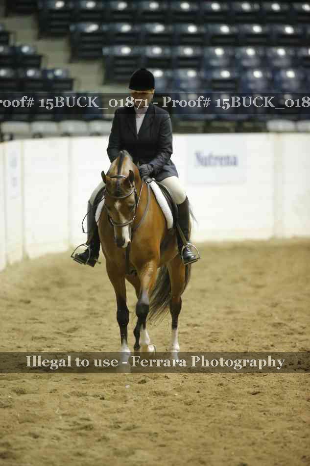 Proof 15BUCK_01871