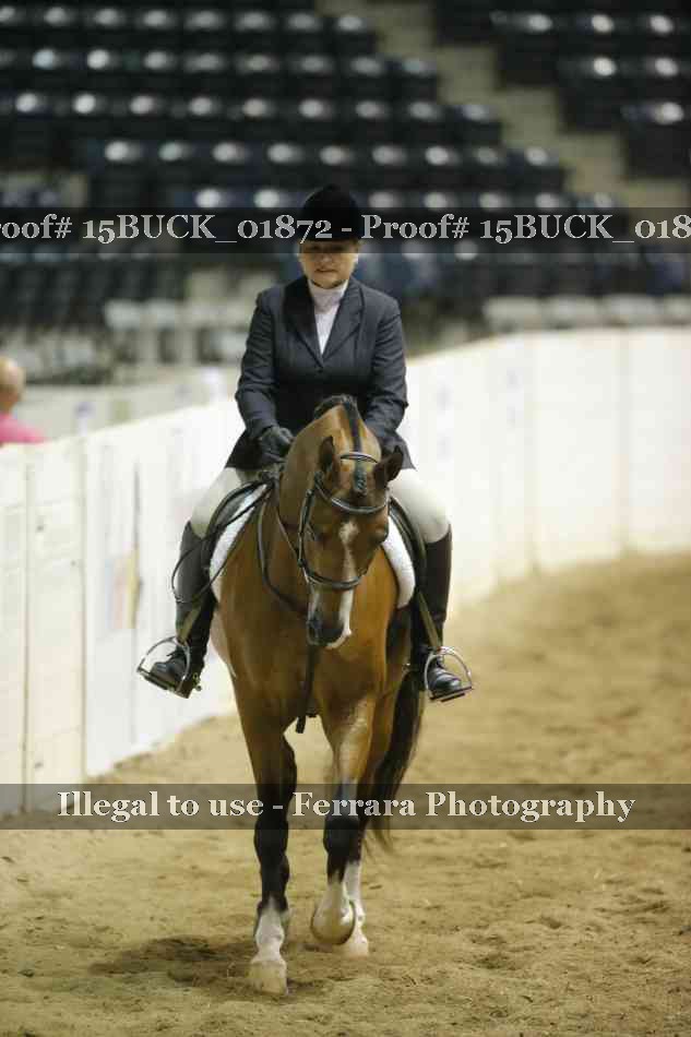 Proof 15BUCK_01872
