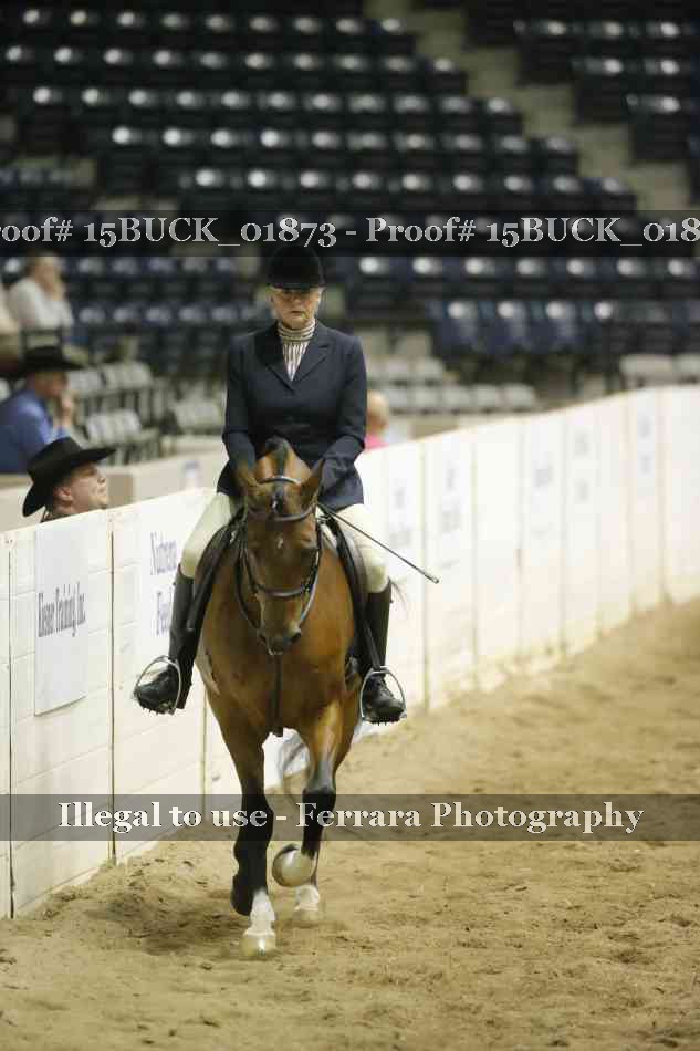 Proof 15BUCK_01873