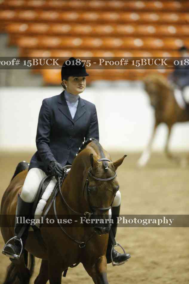Proof 15BUCK_01875