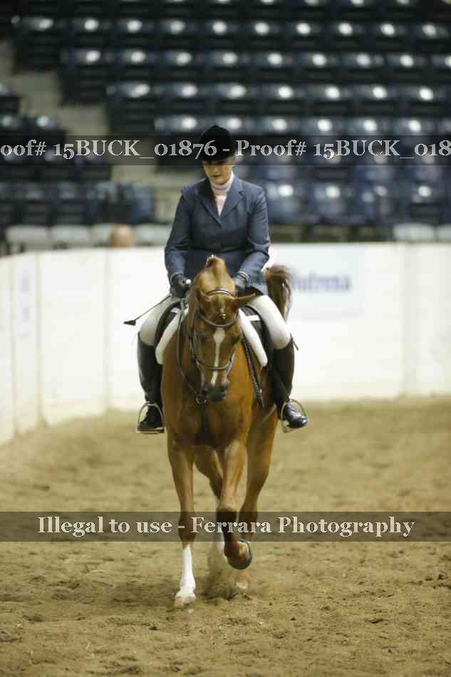 Proof 15BUCK_01876