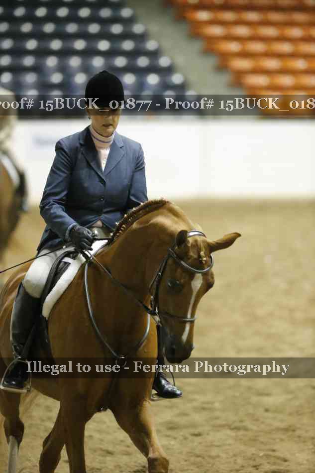Proof 15BUCK_01877