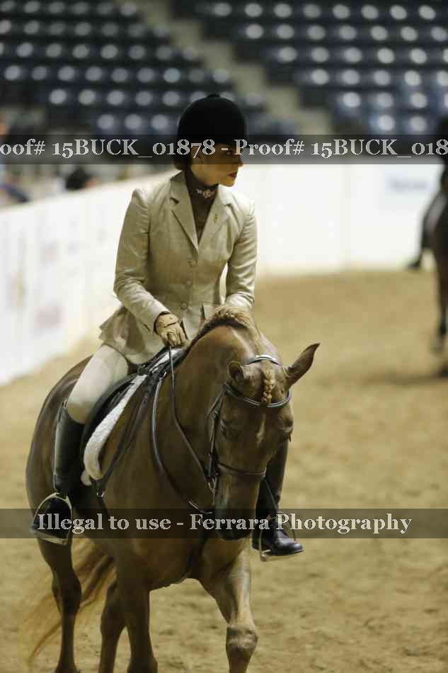 Proof 15BUCK_01878