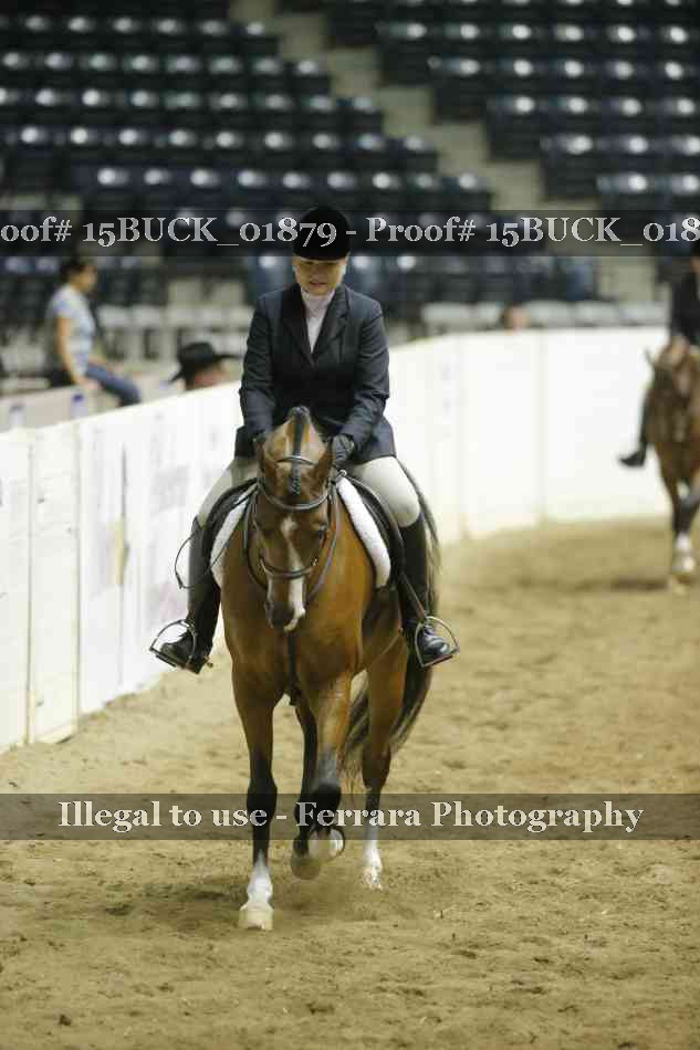 Proof 15BUCK_01879
