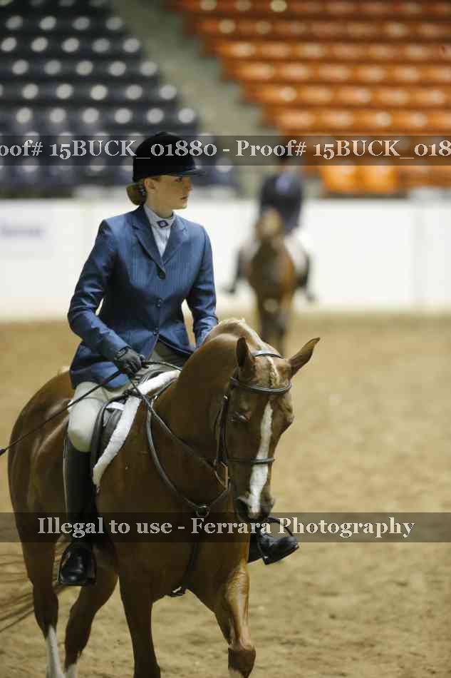 Proof 15BUCK_01880