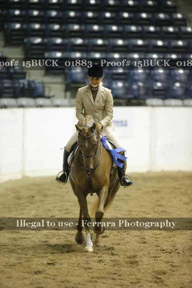 Proof 15BUCK_01883