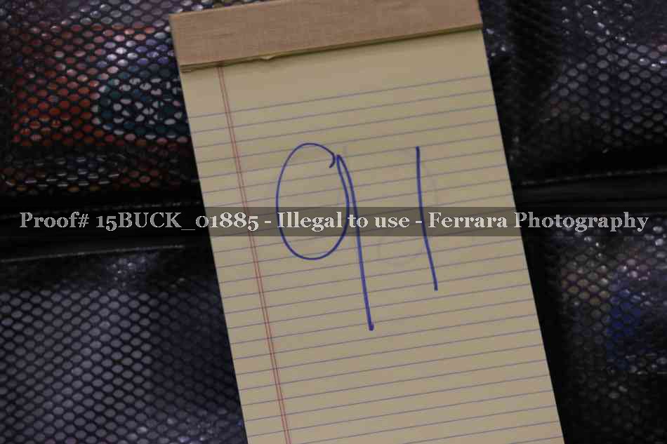 Proof 15BUCK_01885