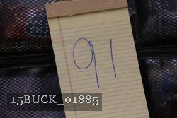 15BUCK_01885 proof