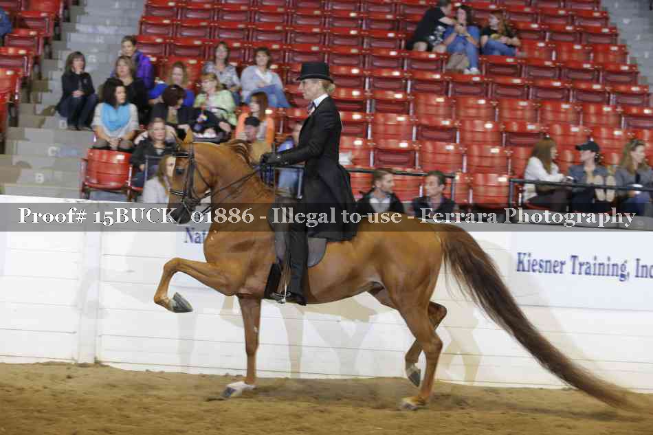 Proof 15BUCK_01886