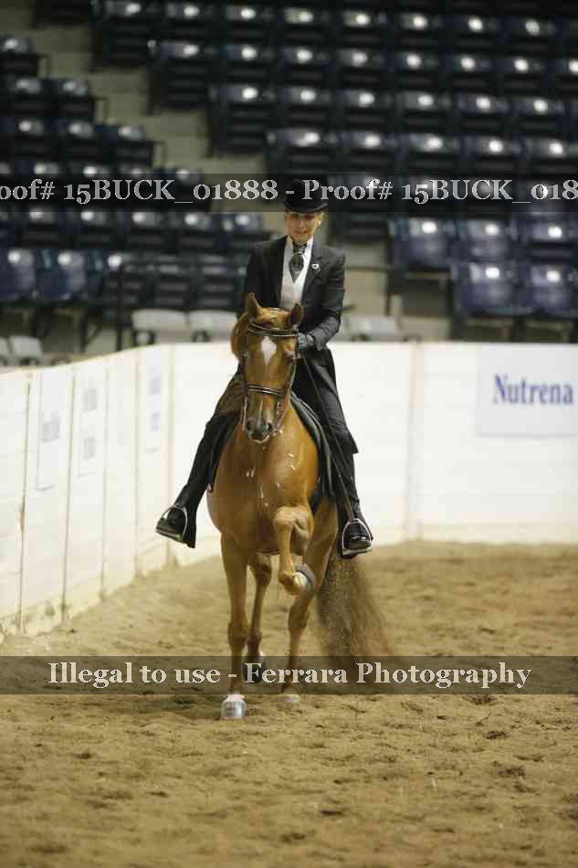 Proof 15BUCK_01888