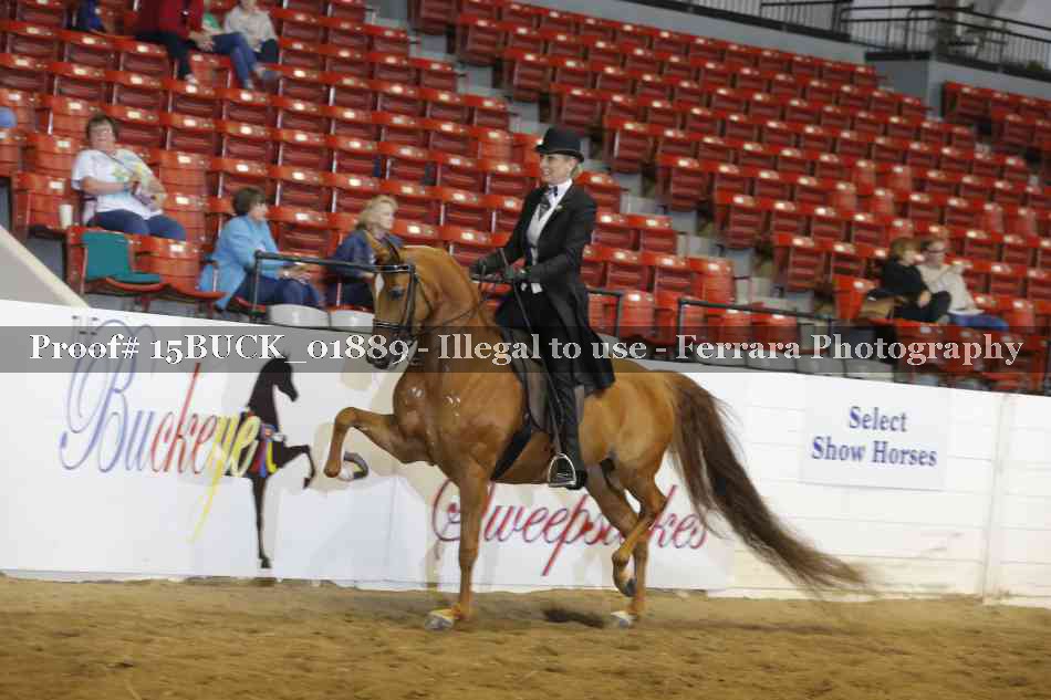 Proof 15BUCK_01889