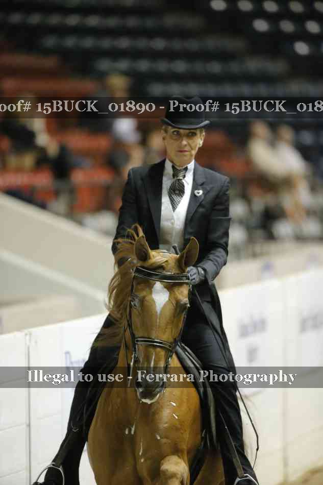 Proof 15BUCK_01890