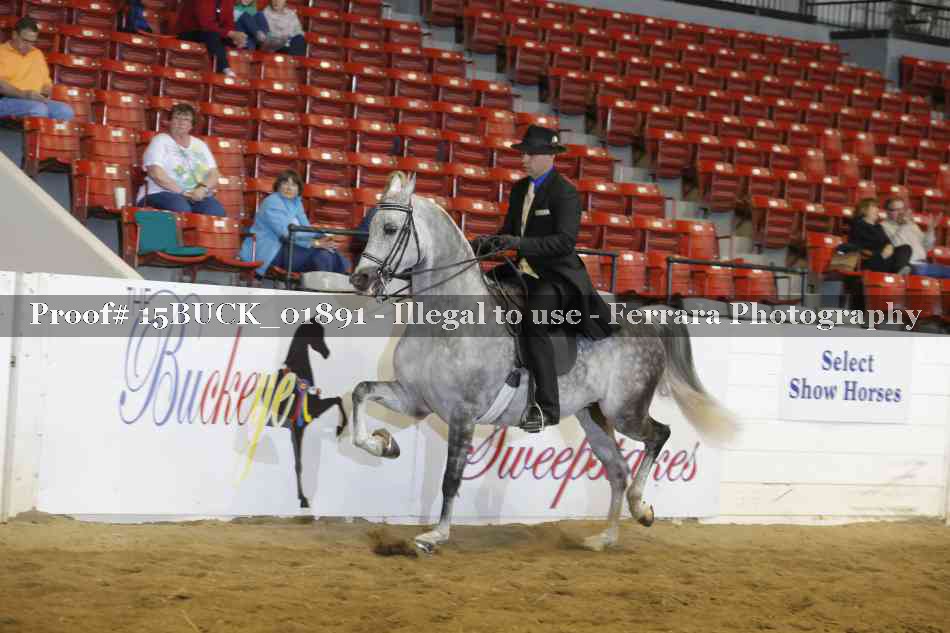 Proof 15BUCK_01891