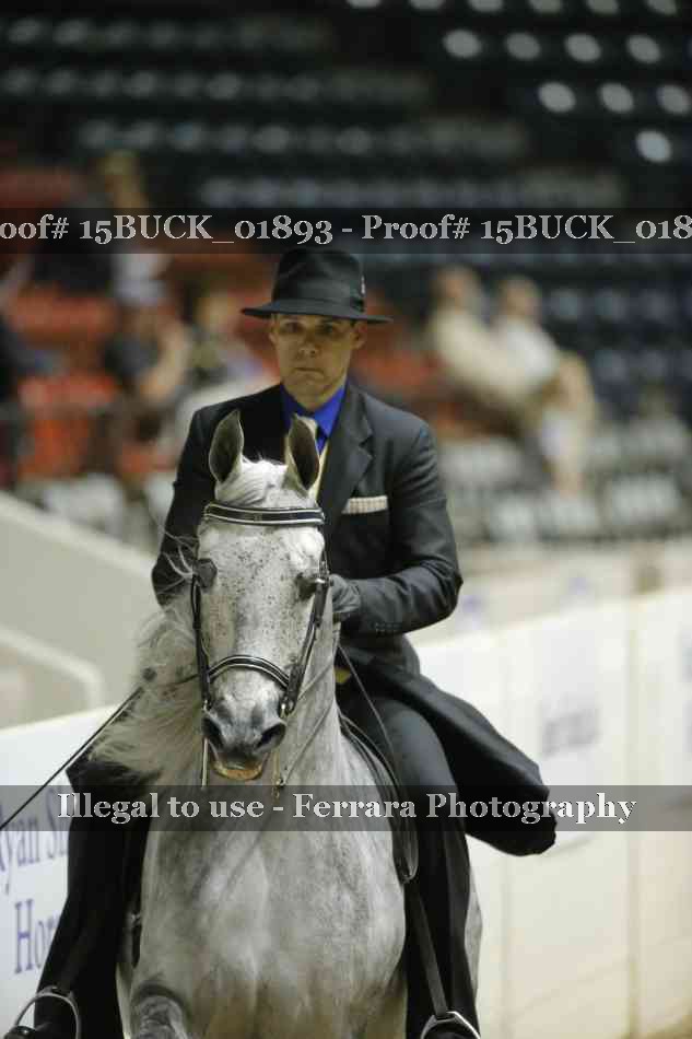 Proof 15BUCK_01893