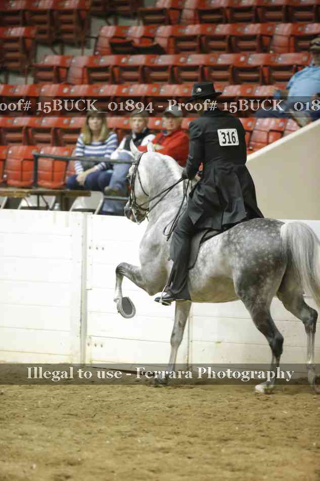 Proof 15BUCK_01894